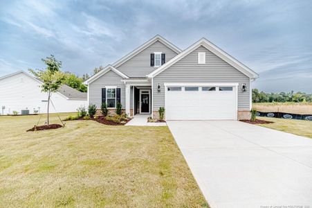 New construction Single-Family house 133 Oban (Homesite 151) Dr, Sanford, NC 27330 - image