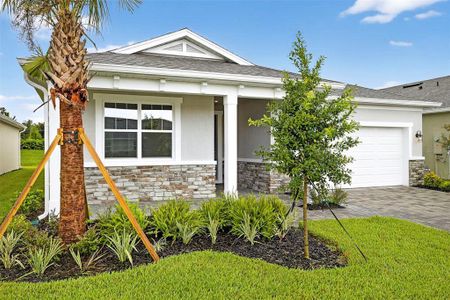 New construction Single-Family house 12309 49Th St E, Parrish, FL 34219 plan Caledon - image