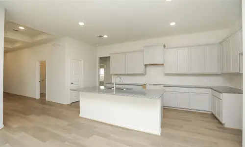 New construction Single-Family house 431 Fields Forest Ln, Dayton, TX 77535 plan Premier Series - Juniper - image