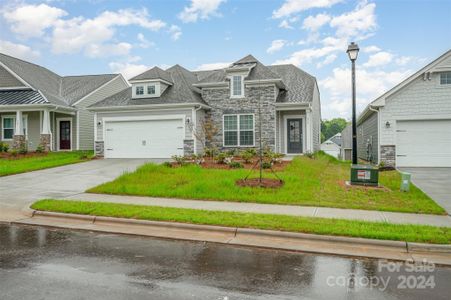 New construction Single-Family house 171 White Apple Way, Statesville, NC 28625 null- photo 3 3