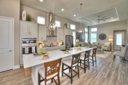 Bexley by ICI Homes in Land O' Lakes - photo 26 26