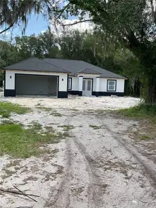 New construction Single-Family house 4796 Sw Bragdon Ave, Arcadia, FL 34266 - image