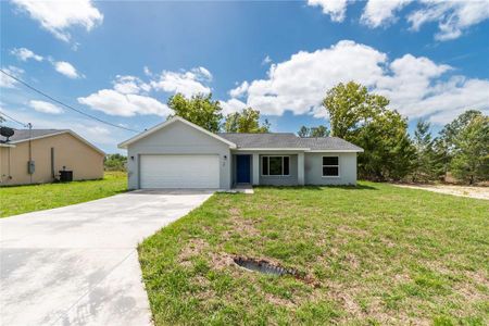 New construction Single-Family house 28 Malauka Loop Run, Ocklawaha, FL 32179 null- photo 0