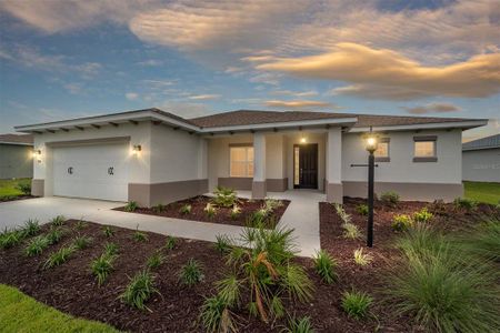 New construction Single-Family house 9943 Sw 106Th Cir, Ocala, FL 34481 - image
