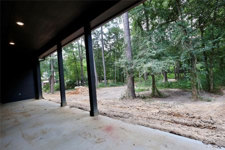 New construction Single-Family house 303 Pelican St, Magnolia, TX 77355 - image