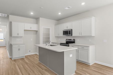 New construction Single-Family house 1943 Deercreek Dr, Manning, SC 29102 plan Lawrence - image 13