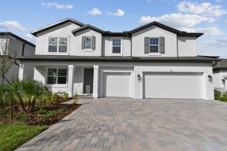 New construction Single-Family house 7819 Notched Pine Bnd, Wesley Chapel, FL 33545 Windsor- photo 153 153