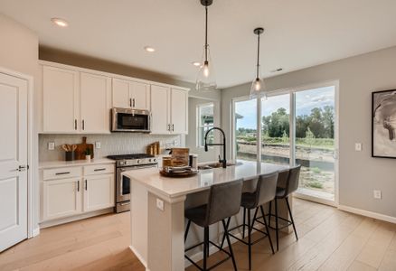 New construction Single-Family house 13788 Daffodil Wy, Parker, CO 80134 plan Denali - image 8