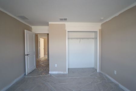 New construction Single-Family house 20125 Oriana Loop, Land O' Lakes, FL 34638 Santina II- photo 150 150