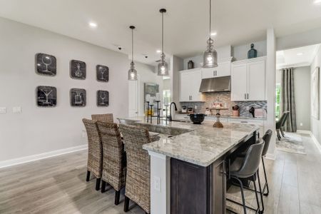 New construction Single-Family house 14224 Lons Pl, Jacksonville, FL 32226 plan Belmar - image 6