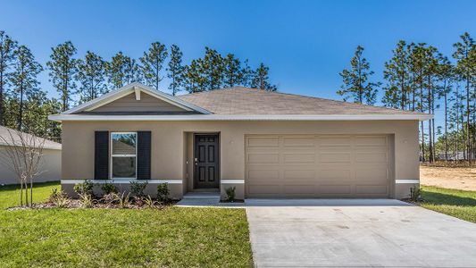 New construction Single-Family house 143 W Citrus Springs Blvd, Citrus Springs, FL 34434 null- photo 0