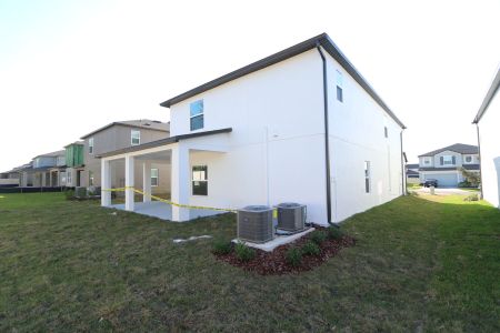 New construction Single-Family house 12168 Hilltop Farms Dr, Dade City, FL 33525 Malibu- photo 145 145