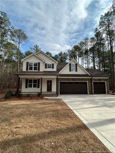 New construction Single-Family house 28941 Pinedale Ct, Wagram, NC 28396 - image