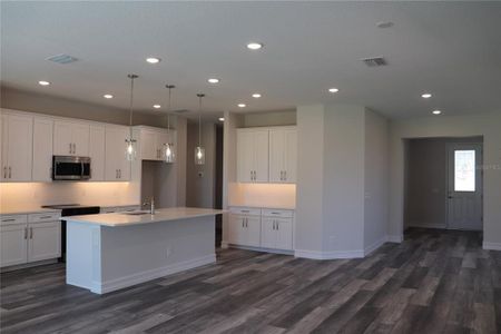 New construction Single-Family house 1032 E Allegrie Dr, Inverness, FL 34453 null- photo 17 17