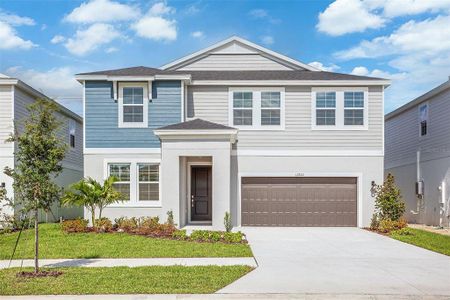 New construction Single-Family house 9955 Surrey Rose Dr, San Antonio, FL 33576 Anna Maria- photo 0