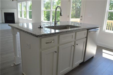 New construction Single-Family house 392 Brookstone Trail, Dawsonville, GA 30534 - photo 25 25