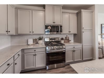 New construction Townhouse house 4901 Autumn Leaf Dr, Timnath, CO 80547 plan Copperhead - image 18