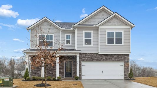 New construction Single-Family house 408 Wild Iris Wy, Spring Hill, TN 37174 plan Dijon B - image
