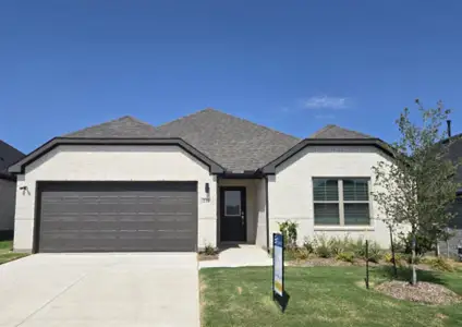 New construction Single-Family house 237 Bright Alcove Ct, Lavon, TX 75166 plan Heisman | Elevon - image