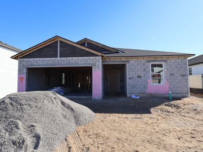New construction Single-Family house 12164 Stirrup Dr, Dade City, FL 33525 plan Sentinel - image