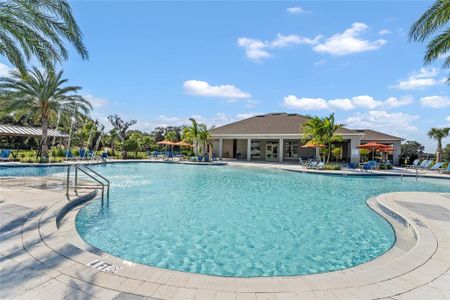 Fountain View by D.R. Horton in Ormond Beach - photo 12 12