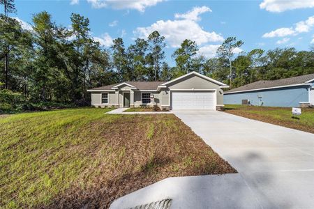 New construction Single-Family house 8836 N Sandree Dr, Citrus Springs, FL 34434 - image