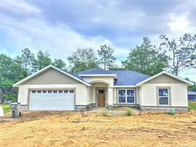 New construction Single-Family house 7 Fir Drive Trak, Ocala, FL 34472 - image