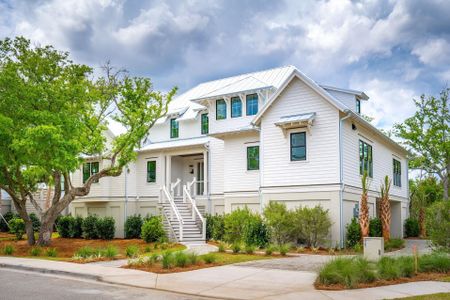 New construction Single-Family house 1467 Alligator Creek Ct, Unit Lot 104, Awendaw, SC 29429 - image