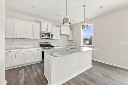 New construction Single-Family house 34 Baird Cove Ln, Angier, NC 27501 plan The Hawthorne - image 6