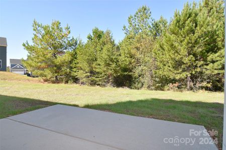 New construction Single-Family house 201 Wedge View Way, Statesville, NC 28677 null- photo 31 31