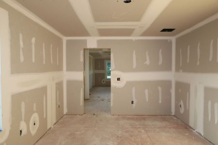 New construction Single-Family house 20288 Oriana Loop, Land O' Lakes, FL 34638 Coronado II- photo 41 41