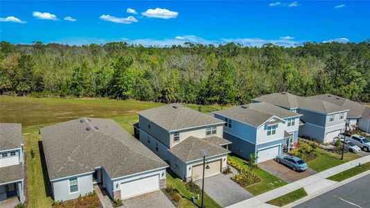 New construction Single-Family house 17291 Saw Palmetto Ave, Clermont, FL 34714 Morris- photo 30 30