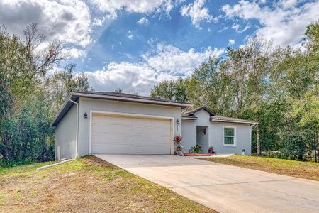 New construction Single-Family house 229 Starling Ct, Poinciana, FL 34759 - image