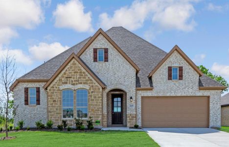 New construction Single-Family house 225 Wintergrass Dr, Waxahachie, TX 75165 null- photo 0