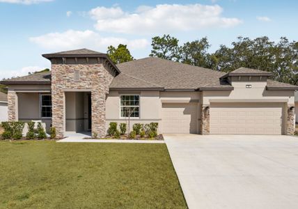 New construction Single-Family house 17041 Royal Palm Dr, Groveland, FL 34736 plan The Livorno - image