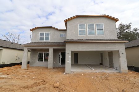 New construction Single-Family house 12008 Hilltop Farms Dr, Dade City, FL 33525 Alenza- photo 87 87