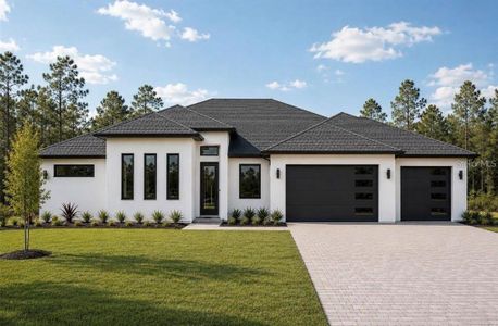 New construction Single-Family house 18924 Northrop St, Orlando, FL 32833 - image