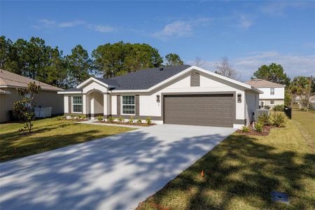 New construction Single-Family house 40 Butternut Dr, Palm Coast, FL 32137 - image