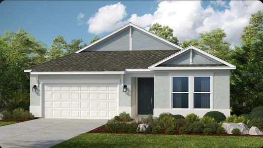 New construction Single-Family house 725 Sky Shade Dr, Apollo Beach, FL 33572 plan Longboat - image