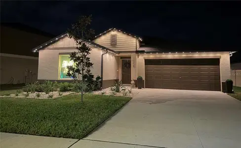 New construction Single-Family house 11325 Linden Depot Rd, San Antonio, FL 33576 plan Hartford - image