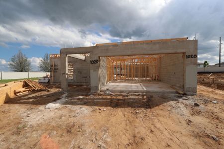 New construction Single-Family house 38350 Tobiano Loop, Dade City, FL 33525 Cabo- photo 10 10