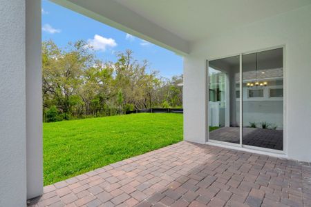 New construction Single-Family house 17584 Japonica Bloom Dr, Winter Garden, FL 34787 plan Faulkner - image