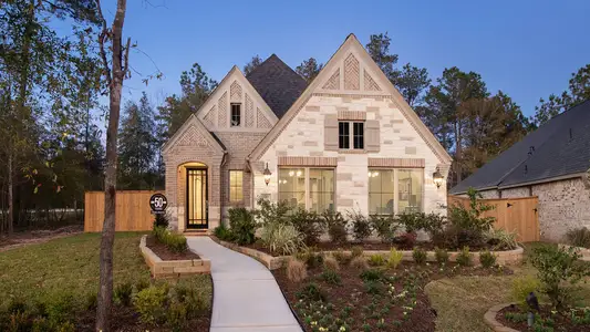 The Groves 40' by Perry Homes in Humble - photo 13 13