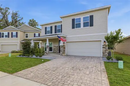 New construction Single-Family house 1373 Nw 132Nd Cir, Newberry, FL 32669 - image