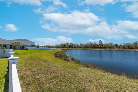 New construction Single-Family house 12712 Mangrove Forest Dr, Riverview, FL 33579 null- photo 21 21