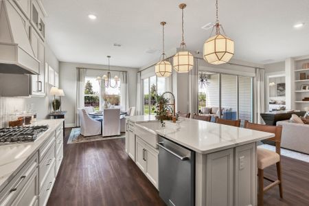 New construction Single-Family house 3 Ellaville Dr, Palm Coast, FL 32137 plan Cooper Bonus - 60' Homesites - image 16