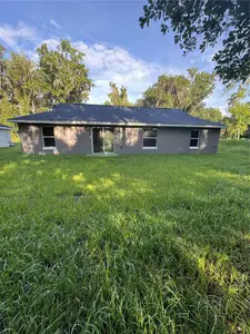 New construction Single-Family house 15045 Se 61 Ct, Summerfield, FL 34491 - image