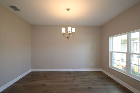 New construction Single-Family house 20125 Oriana Loop, Land O' Lakes, FL 34638 Santina II- photo 200 200