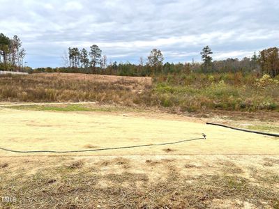 Large Backyard