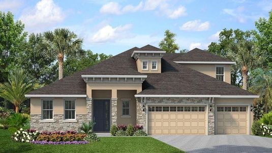 New construction Single-Family house 1064 Signet Drive, Apollo Beach, FL 33572 - photo 0